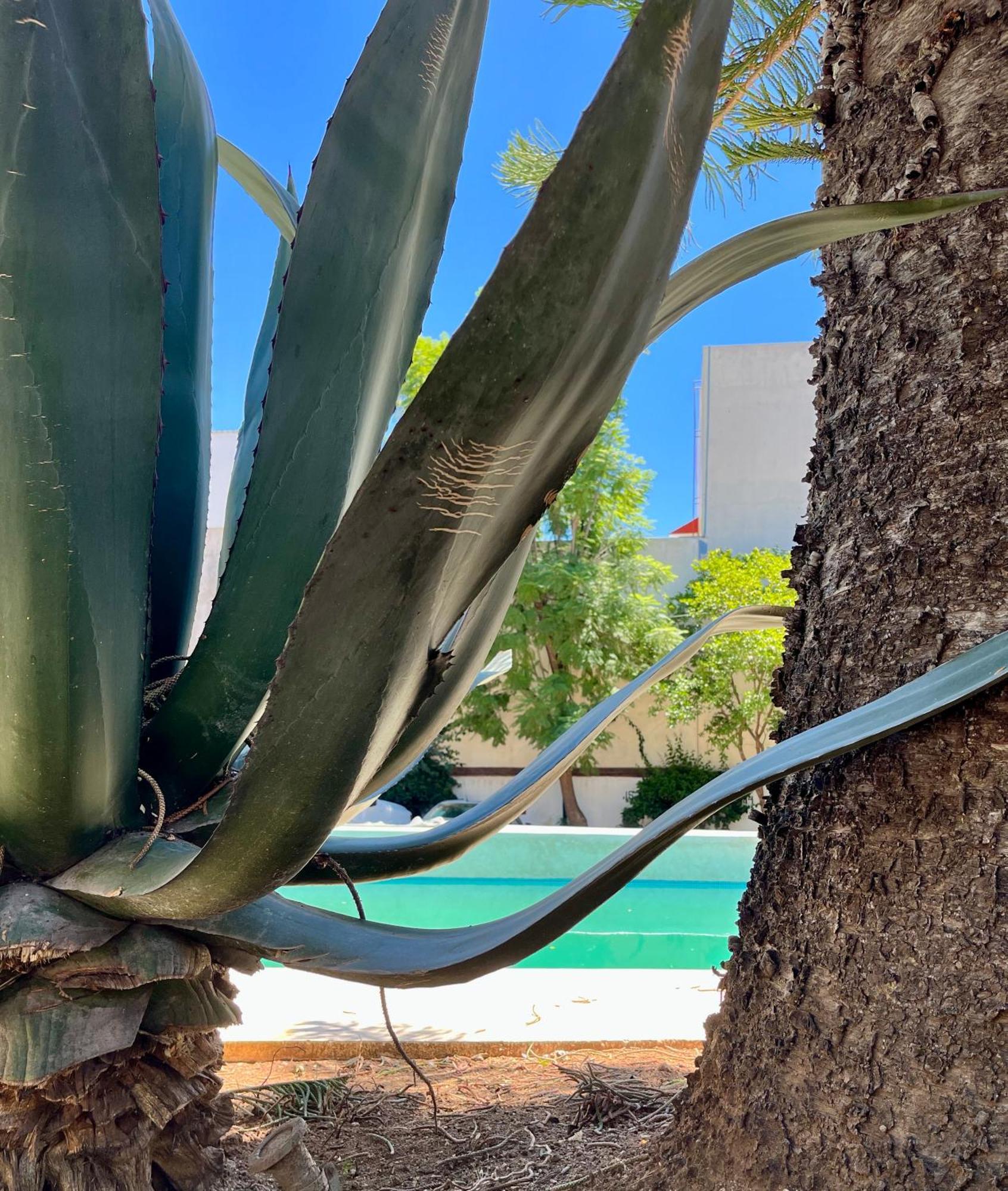 Villa Santa Julia Oaxaca Экстерьер фото